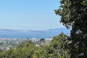 82 Wilding Ln, Oakland, CA 94611 - Photo 16