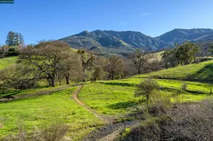 305 Mountaire Pkwy, Clayton, CA 94517 - Photo 36