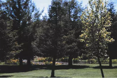 4001 Branscomb Rd, Laytonville, CA 95454 - Photo 6