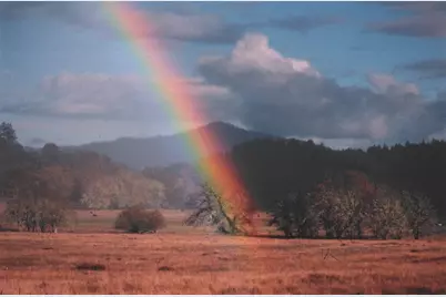 4001 Branscomb Rd, Laytonville, CA 95454 - Photo 8