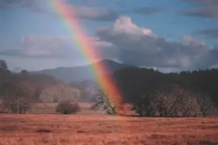 4001 Branscomb Rd, Laytonville, CA 95454 - Photo 8