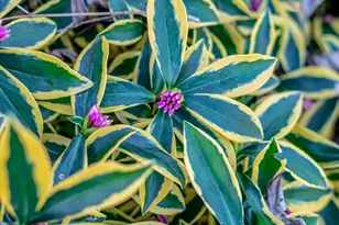 1753 Elm St, Livermore, CA 94551 - Photo 34