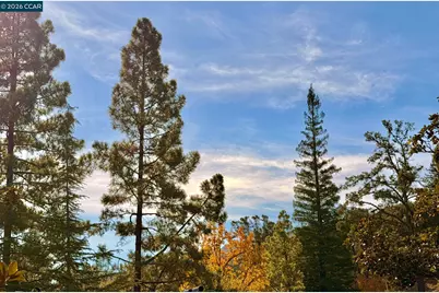 1324 Singingwood Court #3, Walnut Creek, CA 94595 - Photo 4