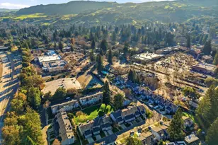 242 Ashley Cir, Danville, CA 94526 - Photo 38