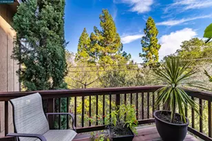 1455 Purson Ln, Lafayette, CA 94549 - Photo 42