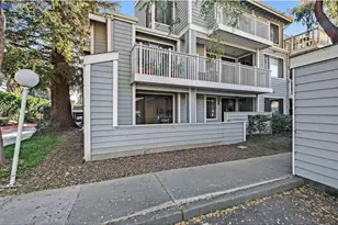 3550 Buttonwood Terrace, Fremont, CA 94536 - Photo 12