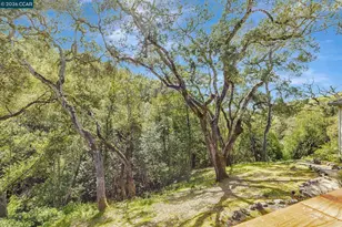 4 Julianna Ct, Moraga, CA 94556 - Photo 38