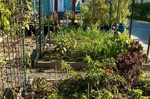 1919 48th Ave, Oakland, CA 94601 - Photo 34