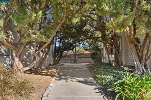 1407 Marchbanks Dr, Walnut Creek, CA 94598 - Photo 30