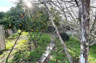 1625 Thrush Ave, San Leandro, CA 94578 - Photo 28