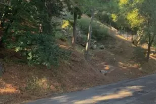 6558 Girvin Dr, Oakland, CA 94611 - Photo 1