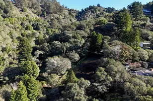 1488 Alvarado Rd, Berkeley, CA 94705 - Photo 4