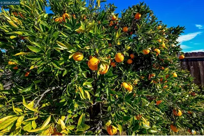 816 Grant St, Vallejo, CA 94590 - Photo 20