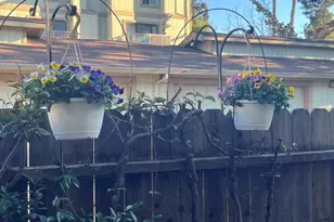 302 Ash Ln, El Sobrante, CA 94803 - Photo 30