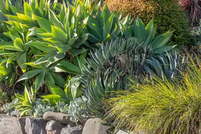 1923 Yolo Ave, Berkeley, CA 94707 - Photo 2