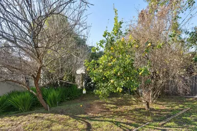 37 Monticello Ave, Piedmont, CA 94611 - Photo 48
