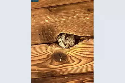 130 Hillcroft Way, Walnut Creek, CA 94597 - Photo 36