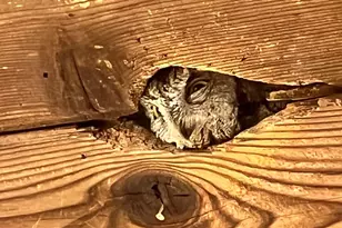 130 Hillcroft Way, Walnut Creek, CA 94597 - Photo 36