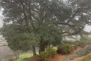 1857 Golden Rain Rd, Walnut Creek, CA 94595 - Photo 42