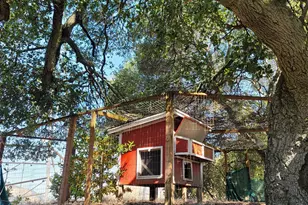 40 Hilldale Ct, Orinda, CA 94563 - Photo 48