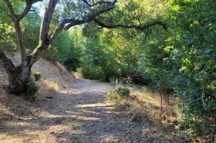 40 Hilldale Ct, Orinda, CA 94563 - Photo 58