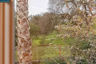 53 Paso Nogal Ct, Pleasant Hill, CA 94553 - Photo 26