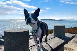 1901 Maritime Way, Richmond, CA 94804 - Photo 58