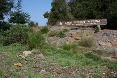 3864 Wilson Ave, Castro Valley, CA 94546 - Photo 50