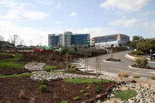 3864 Wilson Ave, Castro Valley, CA 94546 - Photo 52