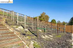 387 Golden Grass Dr, Alamo, CA 94507 - Photo 40