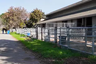 3124 Shire Ln, Walnut Creek, CA 94598 - Photo 30