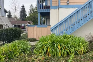 65 Glenwood, Hercules, CA 94547 - Photo 28