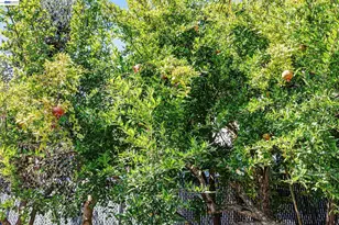 2309 High St, Oakland, CA 94601 - Photo 36