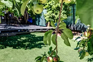 2309 High St, Oakland, CA 94601 - Photo 40