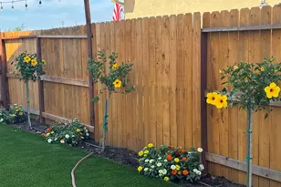 1444 Meridian St, Manteca, CA 95337 - Photo 38