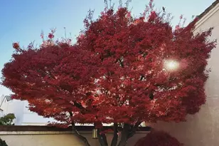 2190 Canyon Lakes Dr, San Ramon, CA 94582 - Photo 56