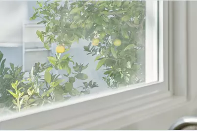 1328 Marin Ave, Albany, CA 94706 - Photo 16