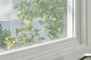 1328 Marin Ave, Albany, CA 94706 - Photo 16