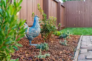 1328 Marin Ave, Albany, CA 94706 - Photo 52