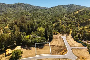 81 Dot Dr, Alamo, CA 94507 - Photo 1