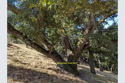 13 St James  Court, Orinda, CA 94563 - Photo 30