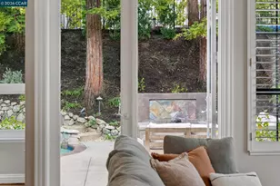 40 Oak Trail Ct, Alamo, CA 94507 - Photo 12