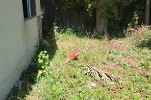 2190 Giant Rd, San Pablo, CA 94806 - Photo 12