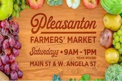 297 Del Valle Ct, Pleasanton, CA 94566 - Photo 40