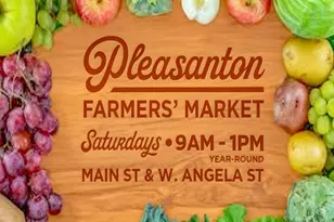 297 Del Valle Ct, Pleasanton, CA 94566 - Photo 40