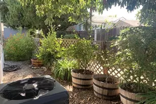 3231 Vineyard, Pleasanton, CA 94566 - Photo 32