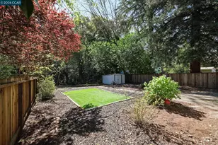 3597 Walnut St, Lafayette, CA 94549 - Photo 6