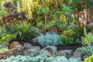 7607 Valentine St, Oakland, CA 94605 - Photo 34