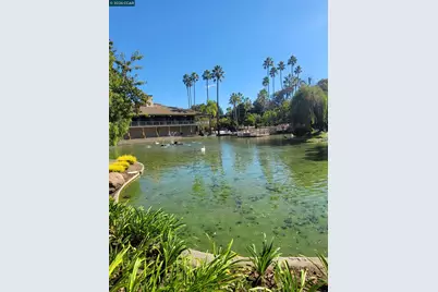310 Civic Dr. #315, Walnut Creek, CA 94597 - Photo 8