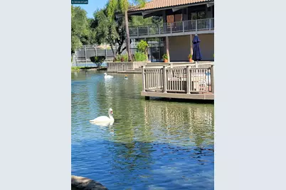 310 Civic Dr. #315, Walnut Creek, CA 94597 - Photo 50